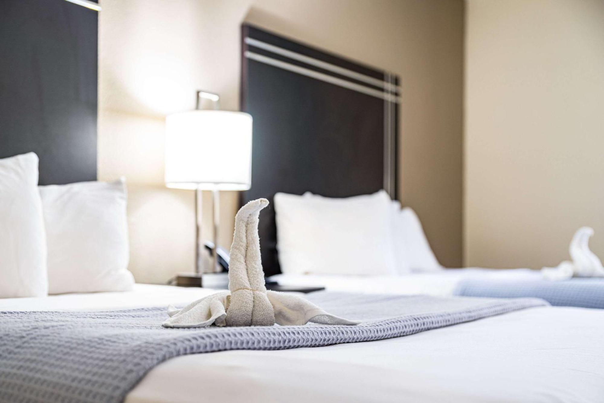 סטריטסבורו Econo Lodge Cleveland Southeast - Kent מראה חיצוני תמונה